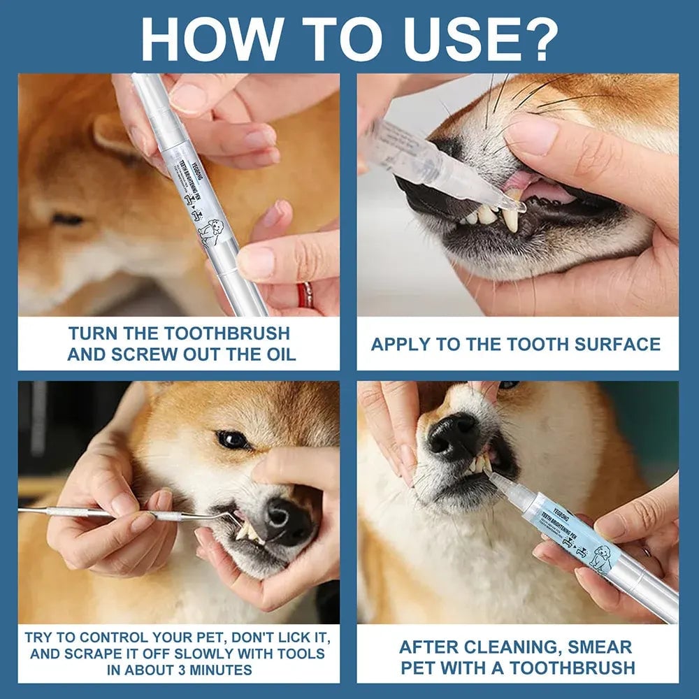 HOT SALE 49% OFF💥Pet Toothbrush Pen