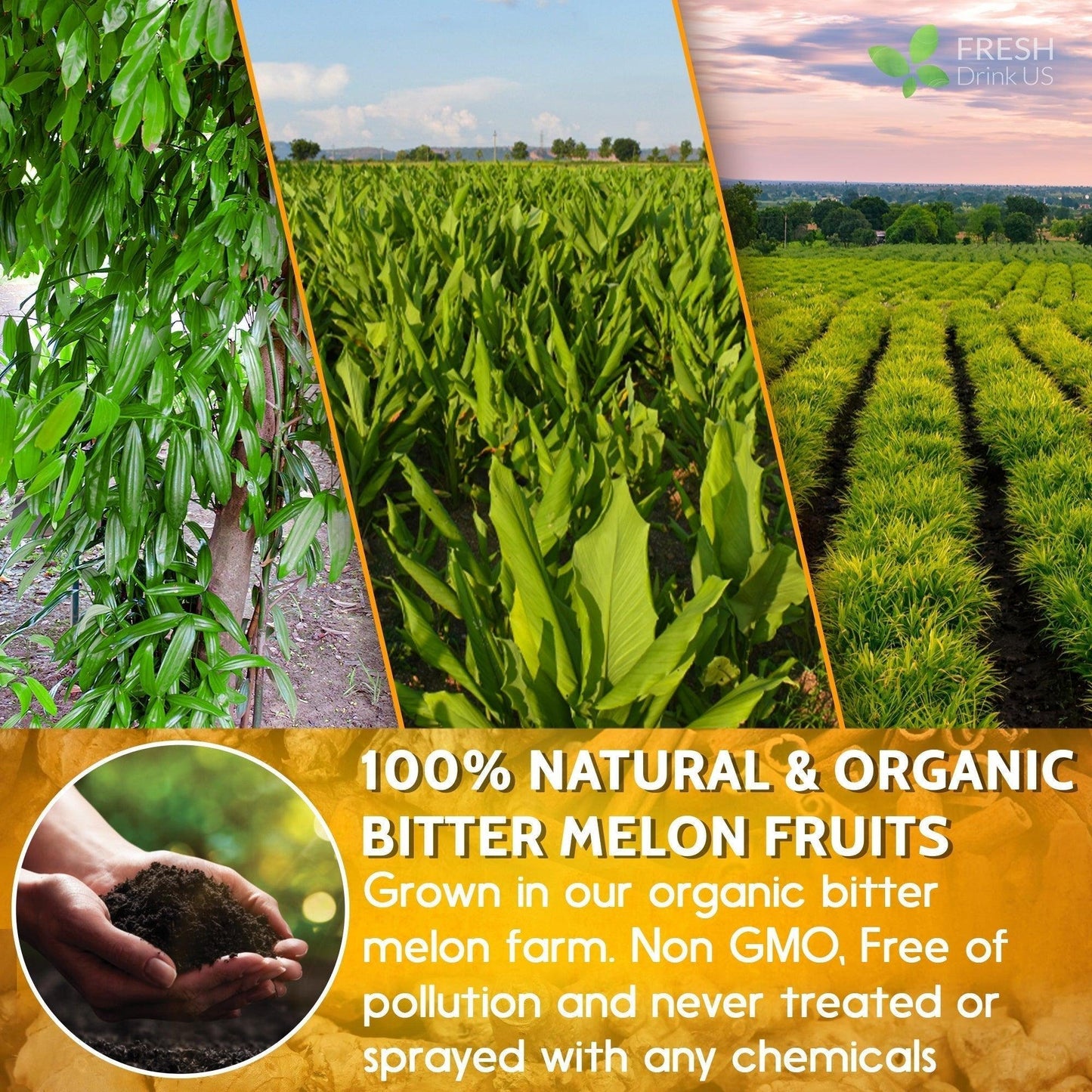 🍵100% Natural Turmeric Ginger Cinnamon Tea