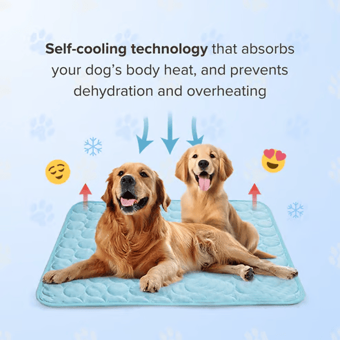 🔥LAST DAY 49% OFF 🧊Dog Cooling Mat (4x more effective)