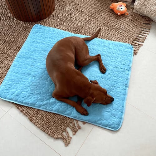 🔥LAST DAY 49% OFF 🧊Dog Cooling Mat (4x more effective)