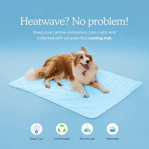 🔥LAST DAY 49% OFF 🧊Dog Cooling Mat (4x more effective)