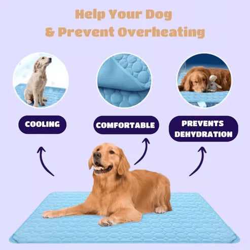 🔥LAST DAY 49% OFF 🧊Dog Cooling Mat (4x more effective)