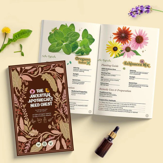 The Ancestral Apothecary Seed Chest: 40 Varieties of Medicinal Herb Seeds 🌱