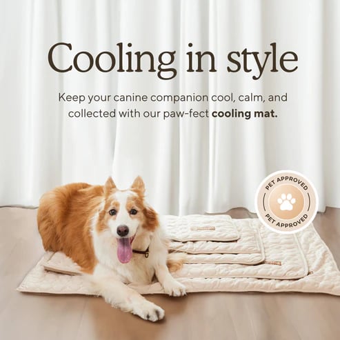 🔥LAST DAY 49% OFF 🧊Dog Cooling Mat (4x more effective)