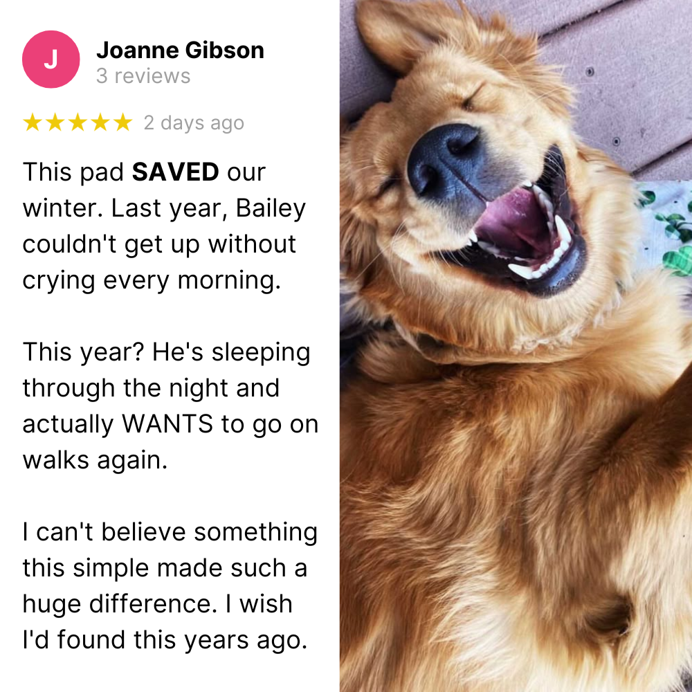 Self Warming Pet Mat