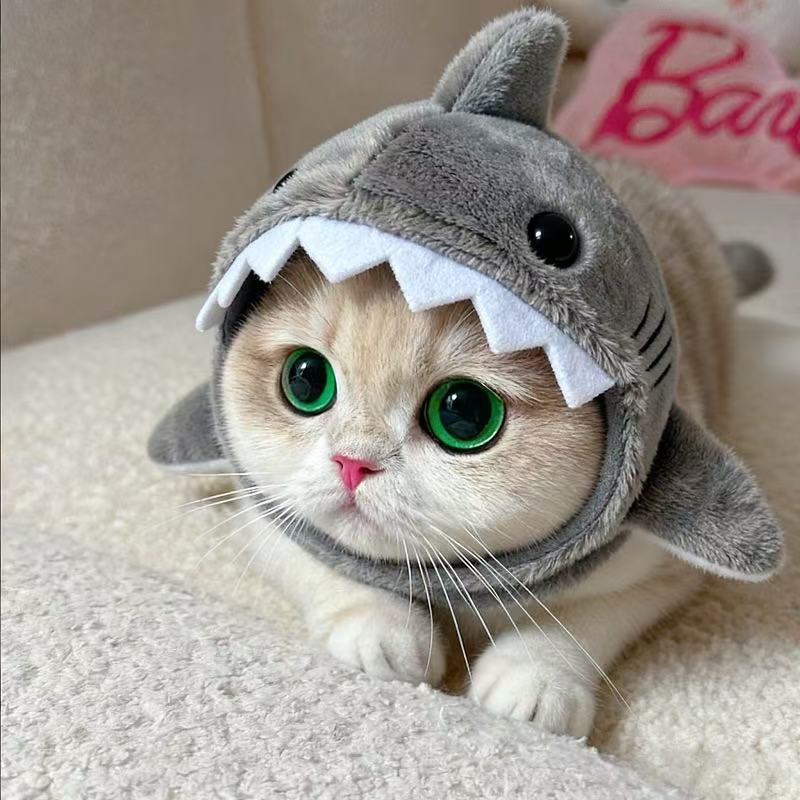 Cute And Funny Shark Plush Headgear Pet Cat Puppy Headwear Puppy Hat Plush Toy