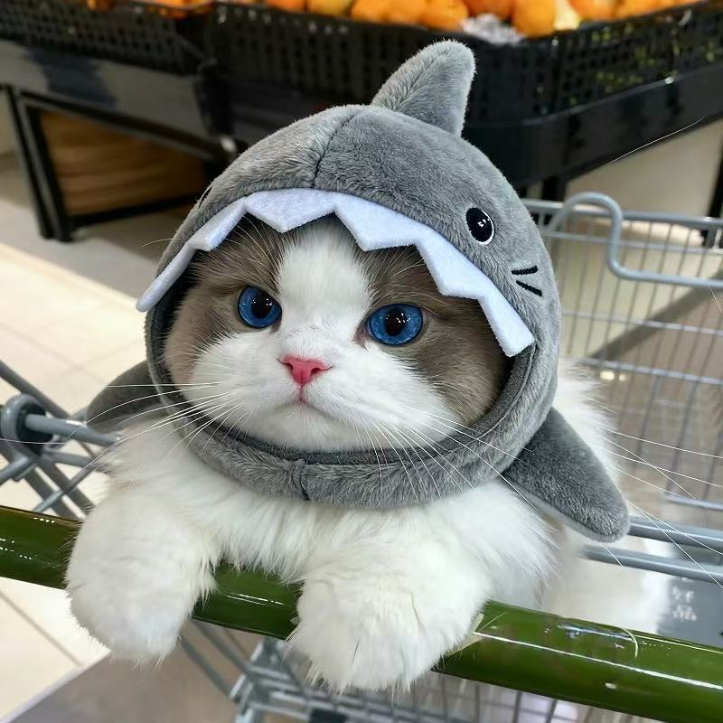 Cute And Funny Shark Plush Headgear Pet Cat Puppy Headwear Puppy Hat Plush Toy