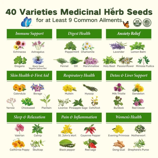 The Ancestral Apothecary Seed Chest: 40 Varieties of Medicinal Herb Seeds 🌱