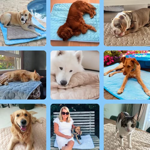 🔥LAST DAY 49% OFF 🧊Dog Cooling Mat (4x more effective)