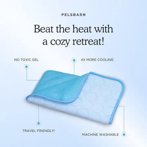 🔥LAST DAY 49% OFF 🧊Dog Cooling Mat (4x more effective)