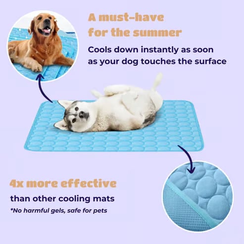🔥LAST DAY 49% OFF 🧊Dog Cooling Mat (4x more effective)