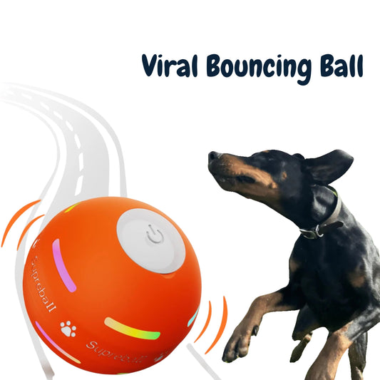 🖤Black Friday Sale 50% OFF-Viral Bouncing Ball